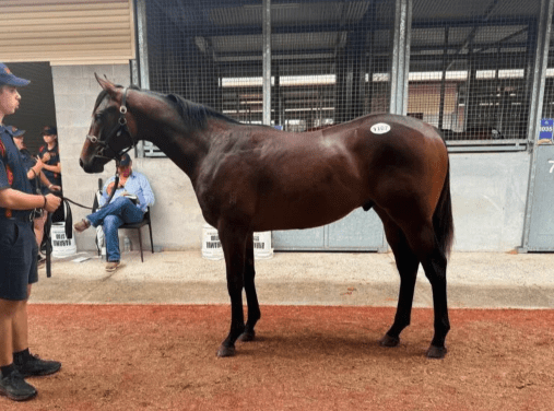 Latest Weekly Listings – Blue Point, Tarzino and Best Of Bordeaux